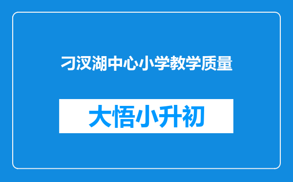 刁汊湖中心小学教学质量