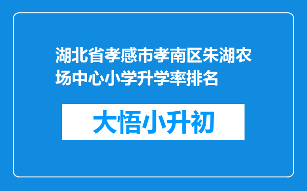 湖北省孝感市孝南区朱湖农场中心小学升学率排名