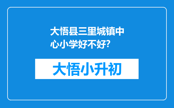 大悟县三里城镇中心小学好不好？