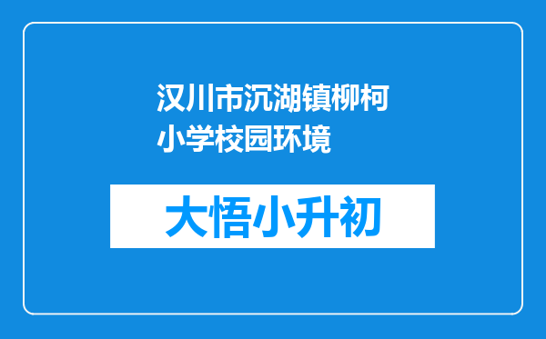 汉川市沉湖镇柳柯小学校园环境