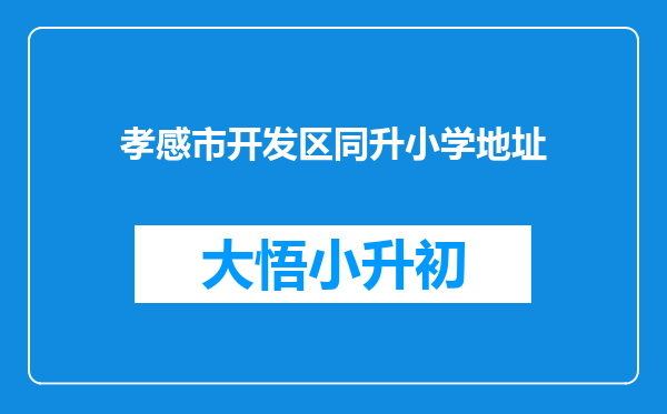 孝感市开发区同升小学地址