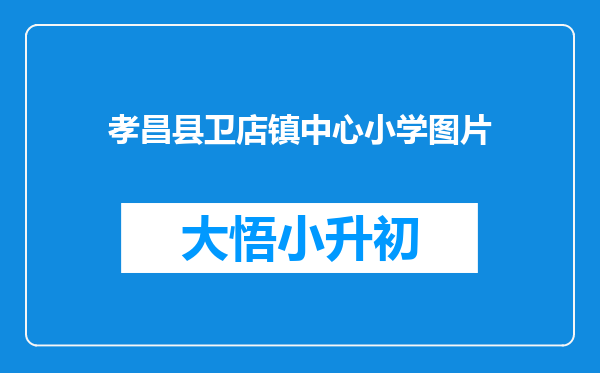 孝昌县卫店镇中心小学图片