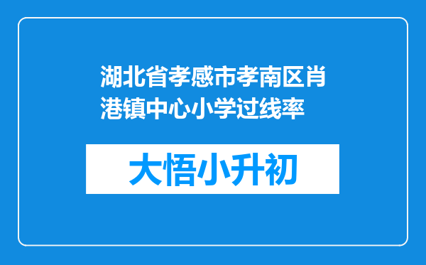 湖北省孝感市孝南区肖港镇中心小学过线率