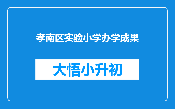 孝南区实验小学办学成果