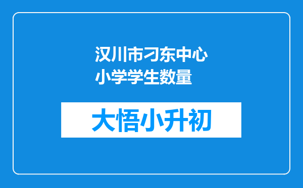 汉川市刁东中心小学学生数量