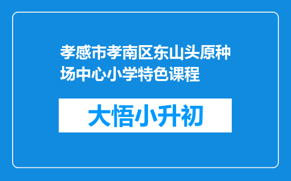 孝感市孝南区东山头原种场中心小学特色课程