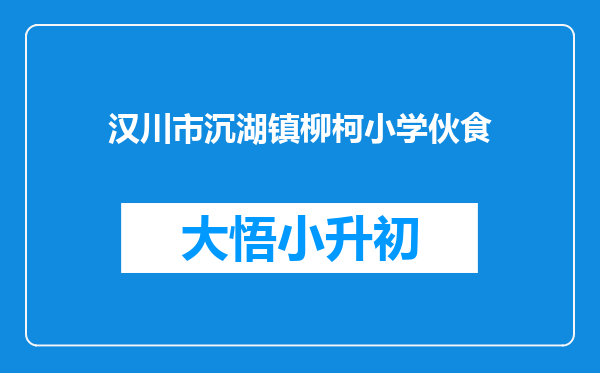 汉川市沉湖镇柳柯小学伙食