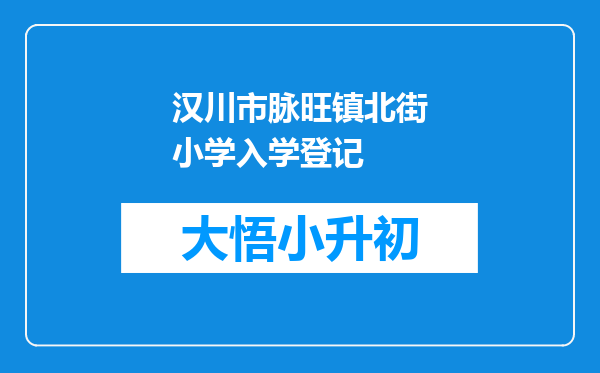 汉川市脉旺镇北街小学入学登记