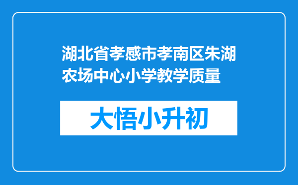 湖北省孝感市孝南区朱湖农场中心小学教学质量