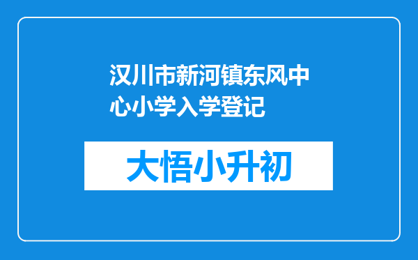 汉川市新河镇东风中心小学入学登记