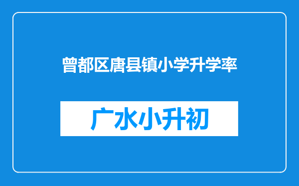 曾都区唐县镇小学升学率