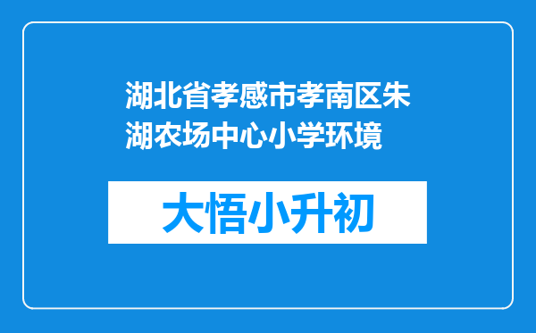 湖北省孝感市孝南区朱湖农场中心小学环境