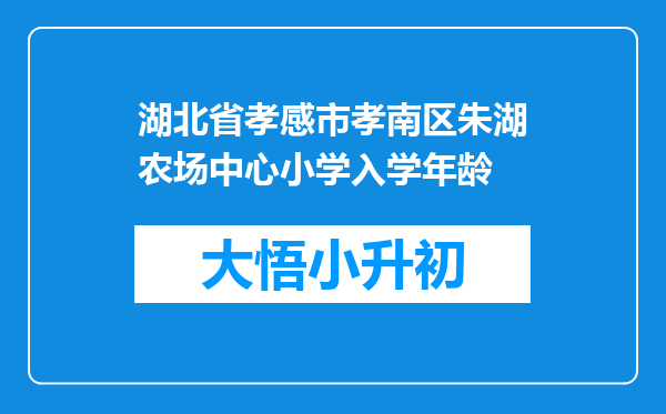 湖北省孝感市孝南区朱湖农场中心小学入学年龄