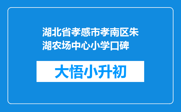 湖北省孝感市孝南区朱湖农场中心小学口碑