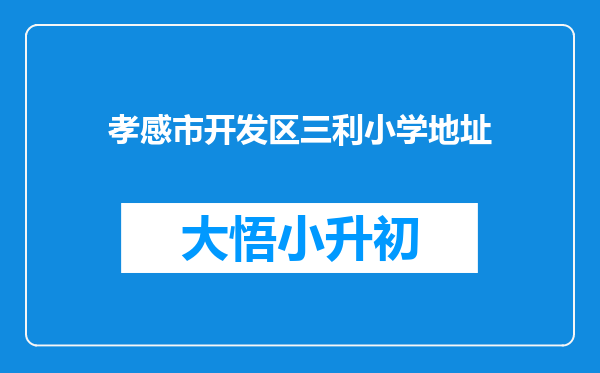 孝感市开发区三利小学地址