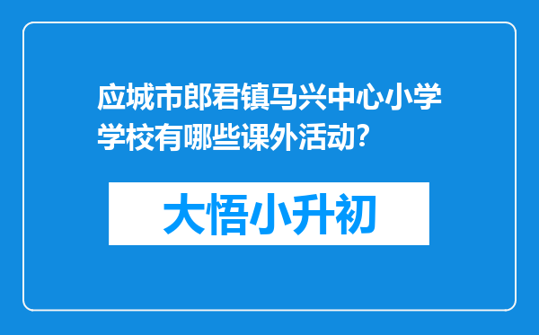 应城市郎君镇马兴中心小学学校有哪些课外活动？