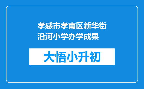 孝感市孝南区新华街沿河小学办学成果