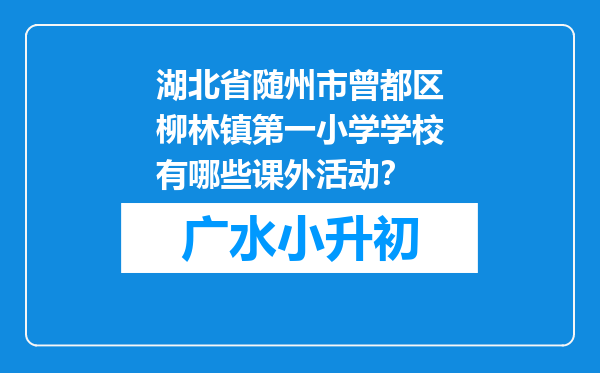 湖北省随州市曾都区柳林镇第一小学学校有哪些课外活动？