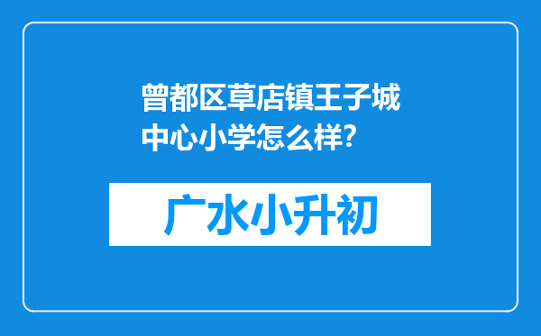 曾都区草店镇王子城中心小学怎么样？