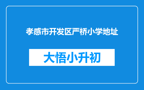 孝感市开发区严桥小学地址