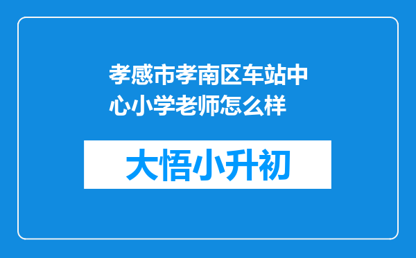 孝感市孝南区车站中心小学老师怎么样