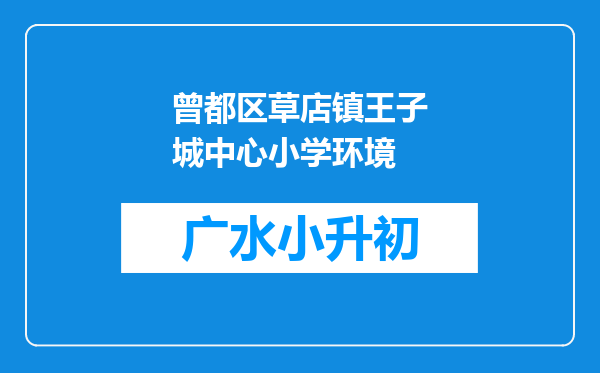 曾都区草店镇王子城中心小学环境