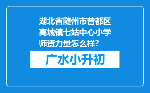 湖北省随州市曾都区高城镇七姑中心小学师资力量怎么样？