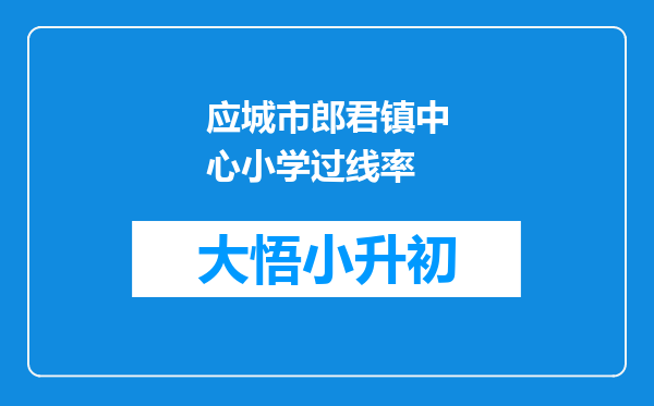 应城市郎君镇中心小学过线率