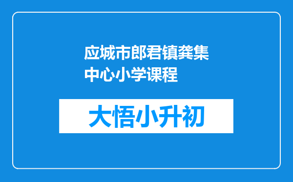 应城市郎君镇龚集中心小学课程