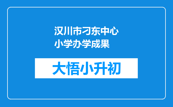 汉川市刁东中心小学办学成果