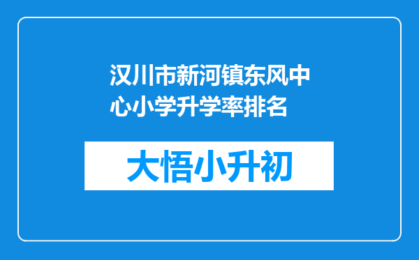 汉川市新河镇东风中心小学升学率排名