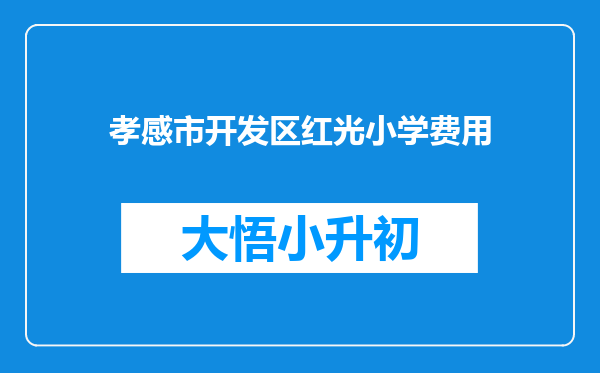 孝感市开发区红光小学费用