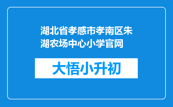 湖北省孝感市孝南区朱湖农场中心小学官网