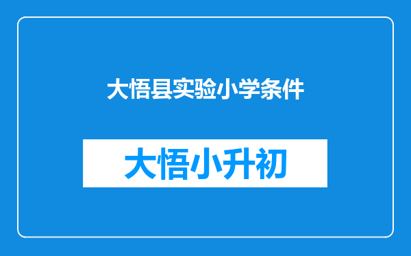 大悟县实验小学条件