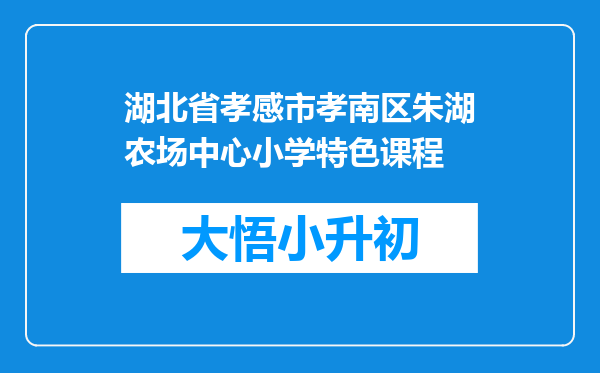 湖北省孝感市孝南区朱湖农场中心小学特色课程