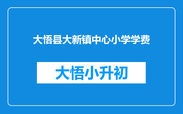 大悟县大新镇中心小学学费