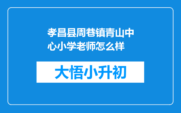 孝昌县周巷镇青山中心小学老师怎么样