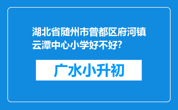 湖北省随州市曾都区府河镇云潭中心小学好不好？