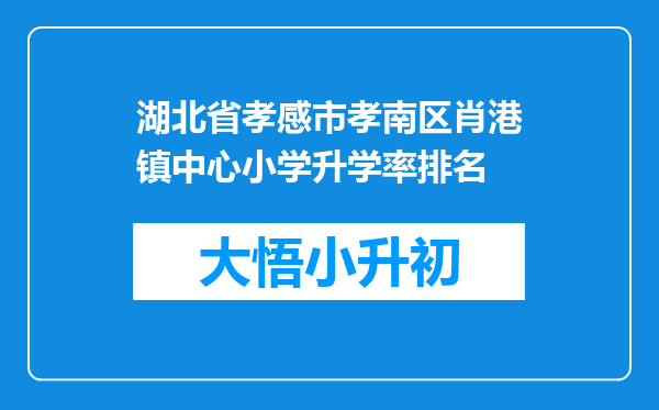 湖北省孝感市孝南区肖港镇中心小学升学率排名