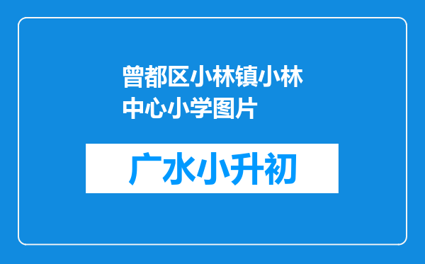 曾都区小林镇小林中心小学图片