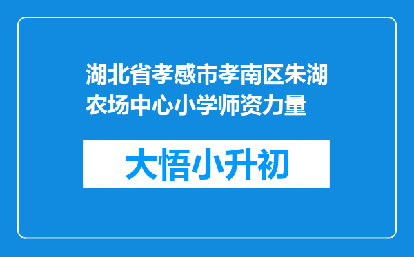 湖北省孝感市孝南区朱湖农场中心小学师资力量