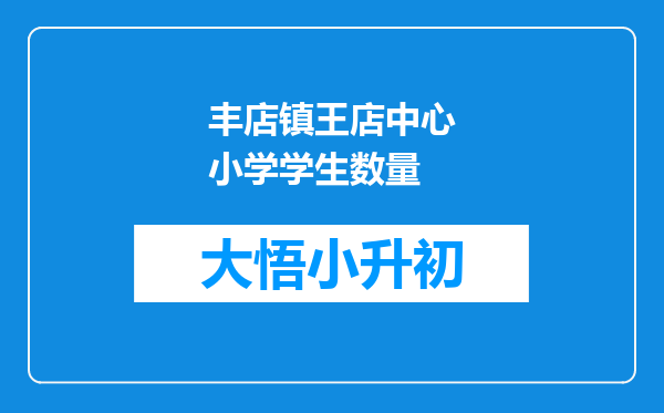 丰店镇王店中心小学学生数量