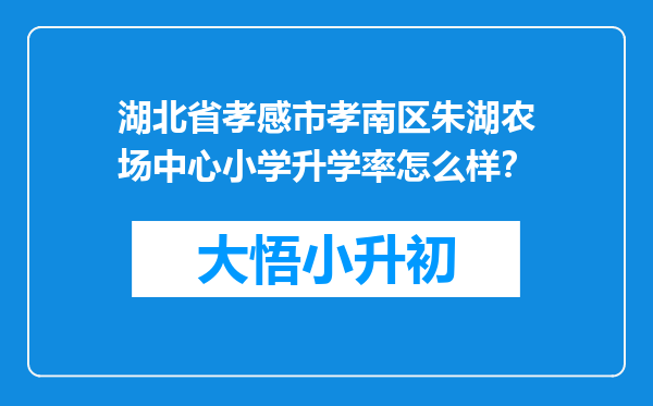 湖北省孝感市孝南区朱湖农场中心小学升学率怎么样？