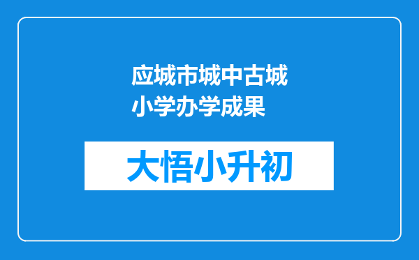 应城市城中古城小学办学成果