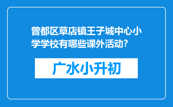 曾都区草店镇王子城中心小学学校有哪些课外活动？