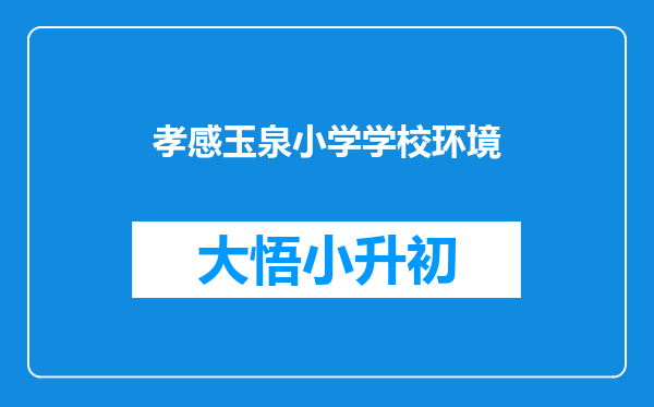 孝感玉泉小学学校环境