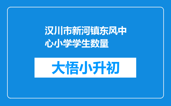 汉川市新河镇东风中心小学学生数量