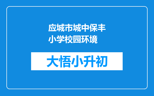 应城市城中保丰小学校园环境