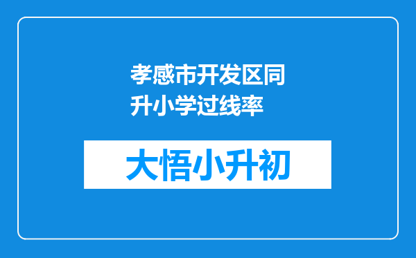 孝感市开发区同升小学过线率