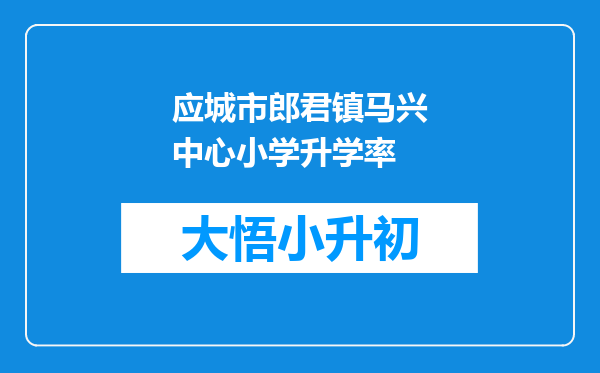 应城市郎君镇马兴中心小学升学率